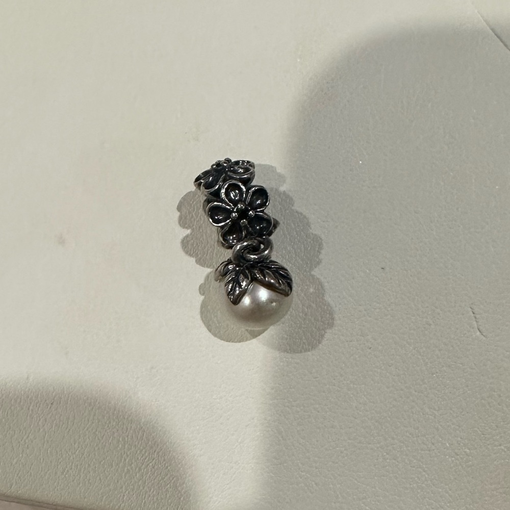 Pandora charm